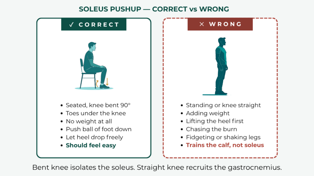 Diagram showing the seated soleus pushup position compared to a standing calf raise